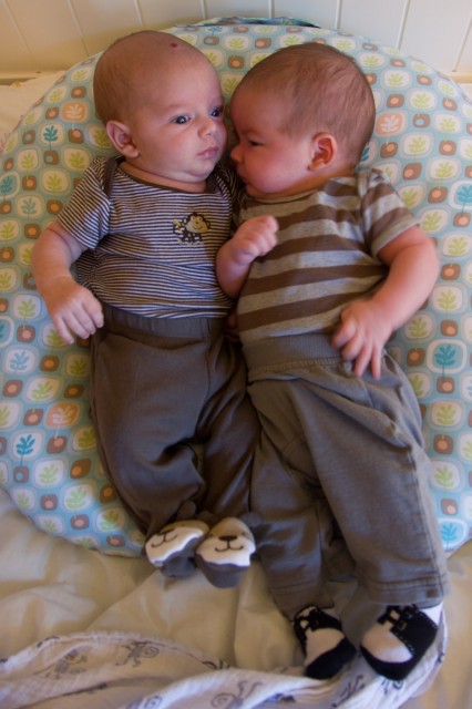 baby twin boys sam and max together on a Boppy Newborn Lounger