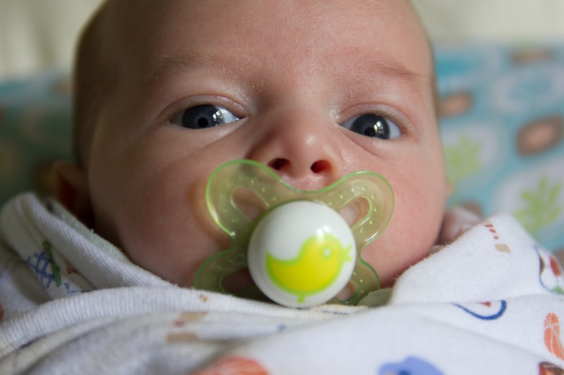 close-up of baby boy Sam, looking into the camera, with a binky or pacifier in his mouth