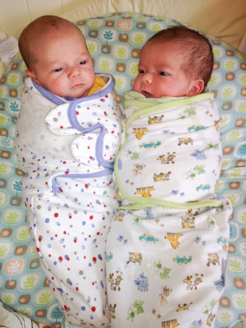 baby boys, twin brothers, sam and max, wearing Summer SwaddleMe blankets, sitting on a Boppy Newborn Lounger