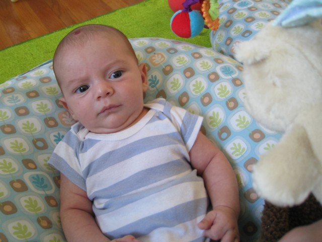 baby boy Sam, sitting on a Boppy Newborn Lounger looks up suspiciously at a small stuffed bear held above him
