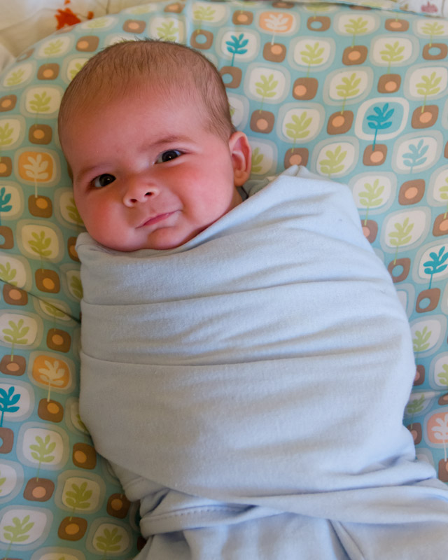 baby boy max, swaddled in a light blue Summer SwaddleMe blanket, resting on a Boppy Newborn Lounger. He has a small smile.