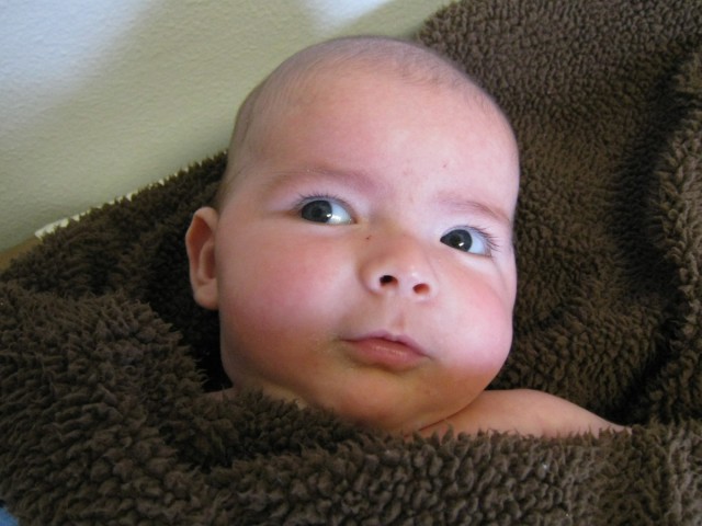 baby boy max looks coy while wrapped in a brown Circo Valboa Baby Blanket blanket