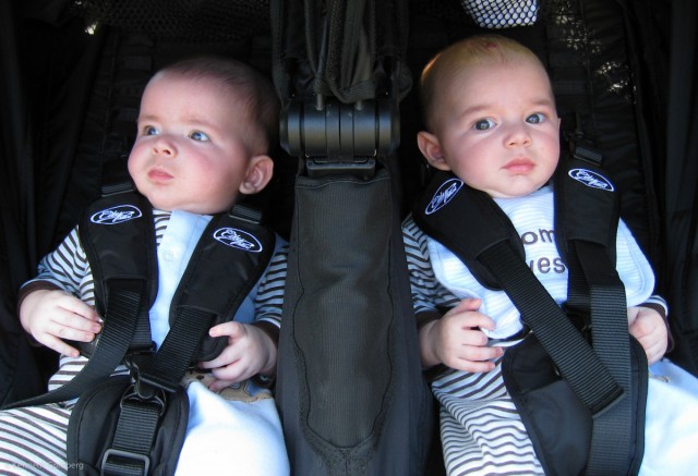 twin baby boys, brothers max and sam, take their first spin in a City Mini stroller on a sunny day